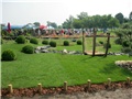 Flora art 2011